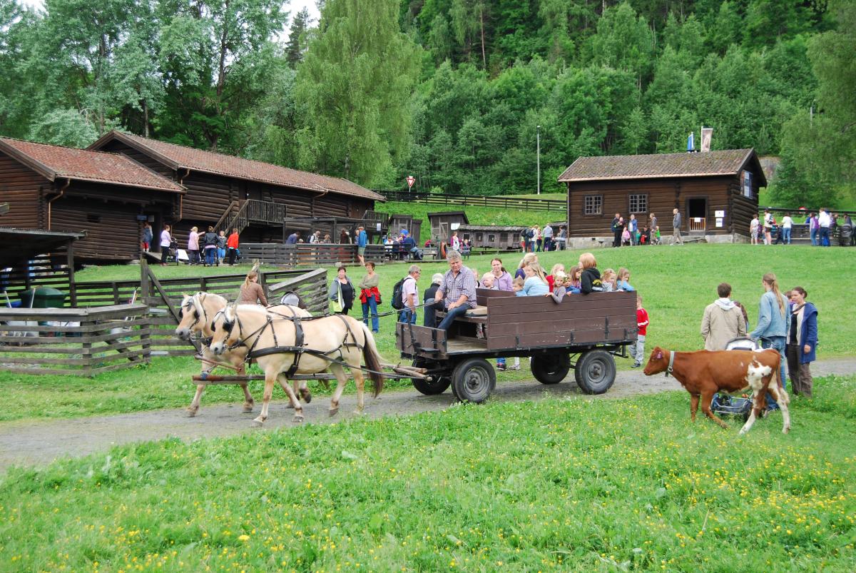 Overnatting blaafarveværket